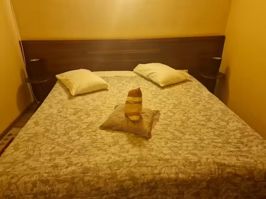 Hotel Transilvania