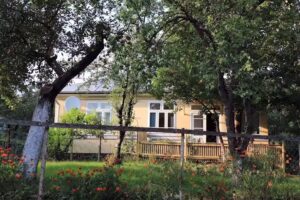 House under the Linden Tree