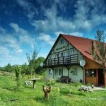 House Under the Tower