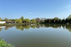 Iaz Faurei – “La David”