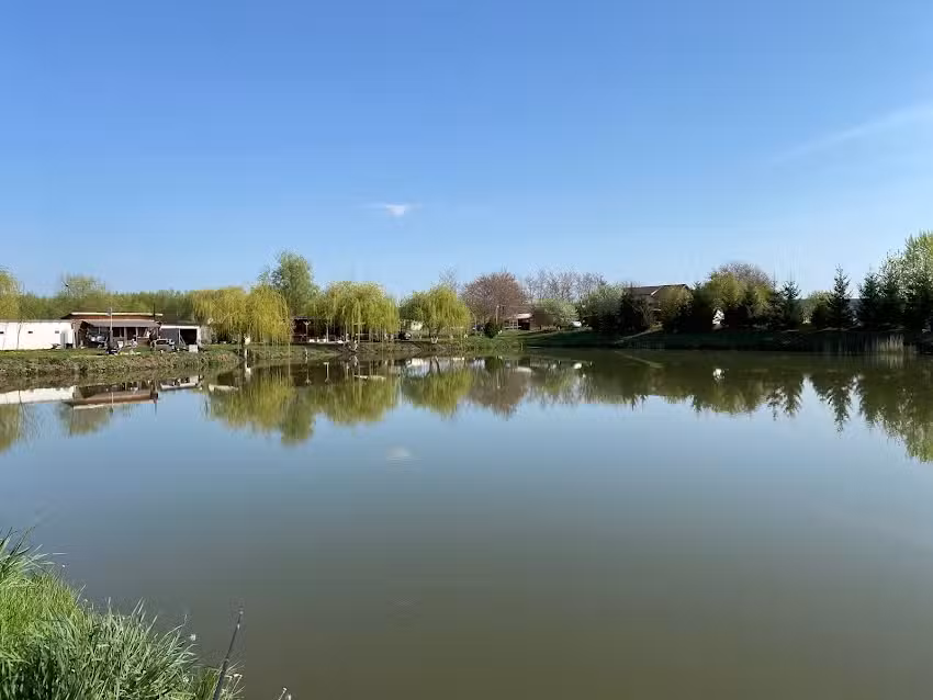 Iaz Faurei – “La David”