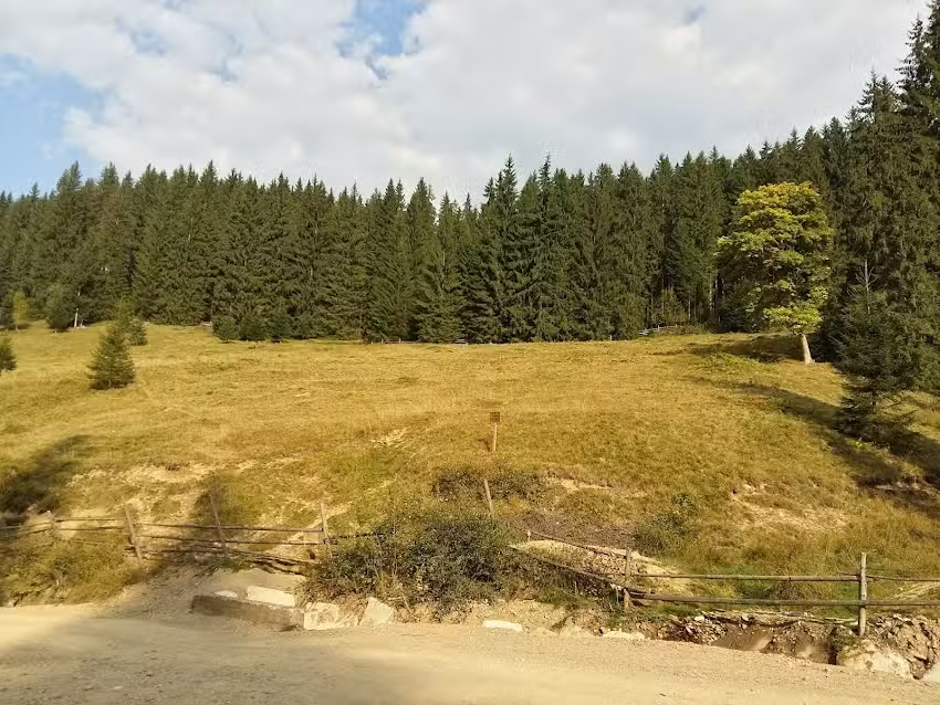 Ieșeanul
