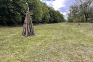 Iesire Iarba Verde TBEED