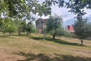 Jugendzentrum Seligstadt