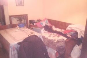 Karl and Michael von Bruckenthal American Hostel