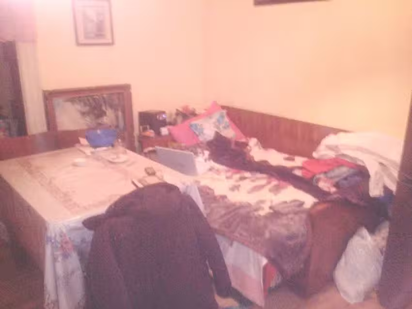 Karl and Michael von Bruckenthal American Hostel