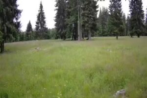 Kiságmezei Kulcsosház