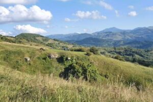 La Casa Maramureseana