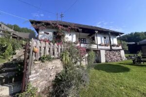 La căsuța cu cerdac Audia Hangu Neamt