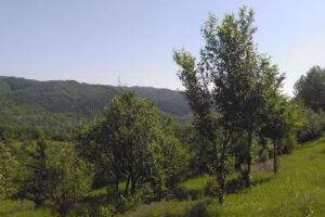 La Căsuța Din Poveşti!