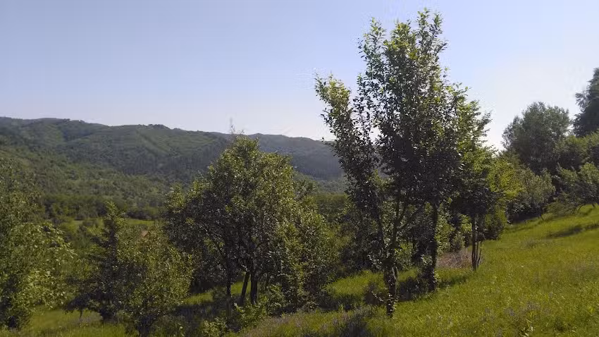 La Căsuța Din Poveşti!