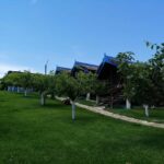 La Căsuțe – Dunavăț