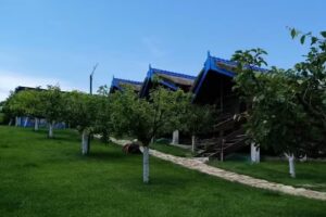 La Căsuțe – Dunavăț