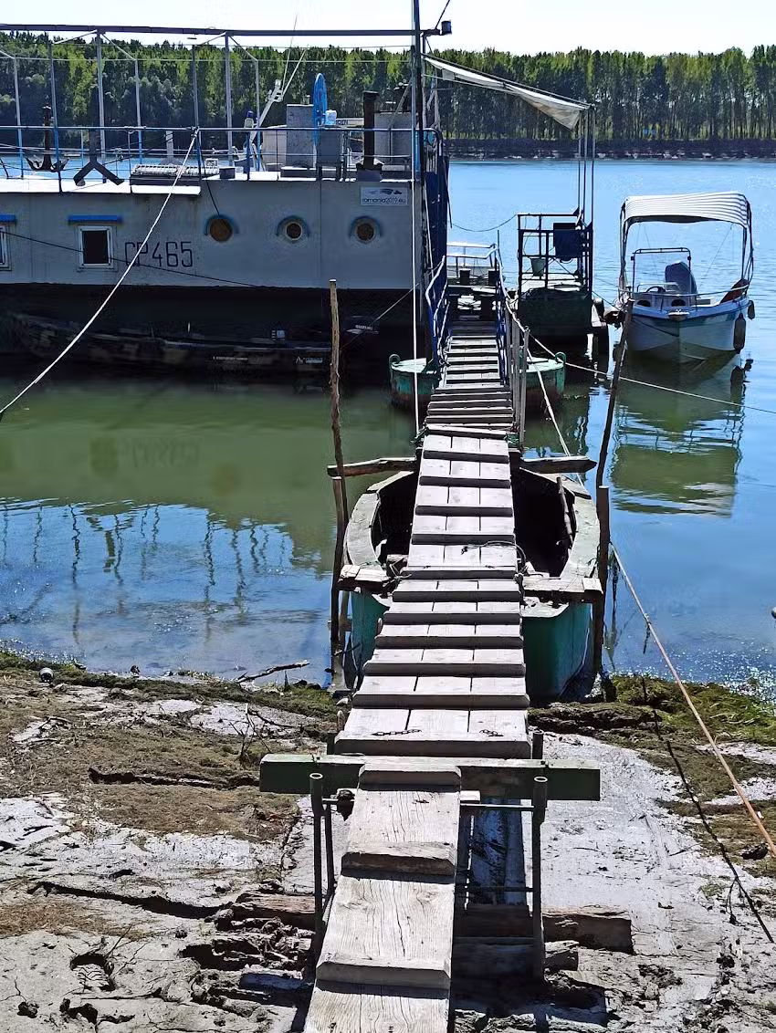 La Cherhana -Laurențiu