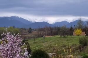 La Curtea Porumbăceană