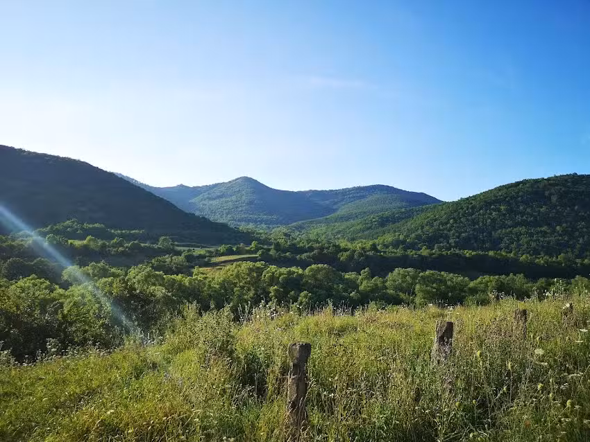La gardu’ de piatră