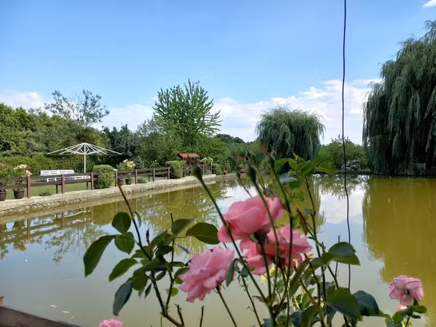 La Nea Vasile