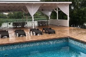 La Nuferi Lac Snagov