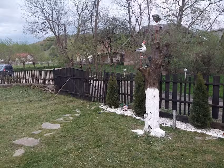 La Pălaga lu’ Guriță