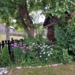 La Pălaga lu’ Guriță