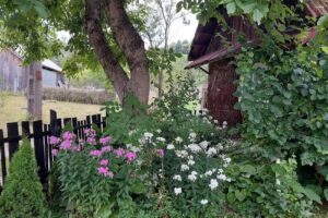 La Pălaga lu’ Guriță