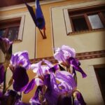 La Pop Agro-Pensiune