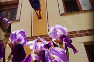 La Pop Agro-Pensiune