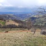 La Raisa-cabana de la munte