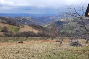 La Raisa-cabana de la munte