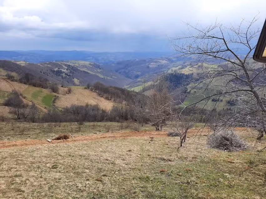 La Raisa-cabana de la munte