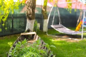 La Salcia Liniștită