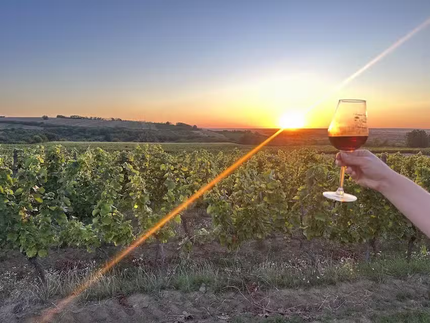 Lagom Apartment and Guesthouse