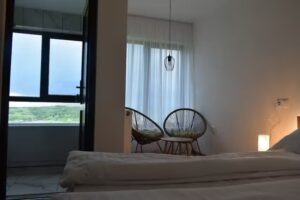 Little Home by Valea Sireului