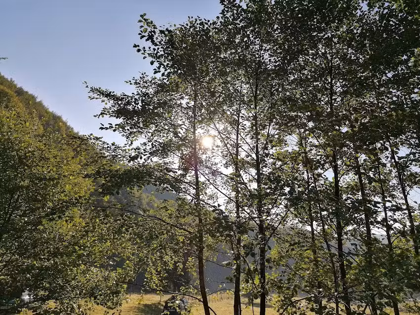 Locul de campare Valea Alba
