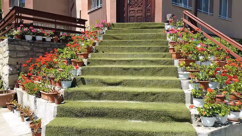 Lorena – Casa cu Flori