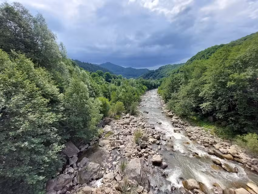 Lunculița lui Vladimir