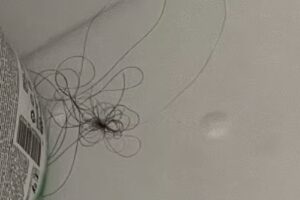 MADE in Transilvania