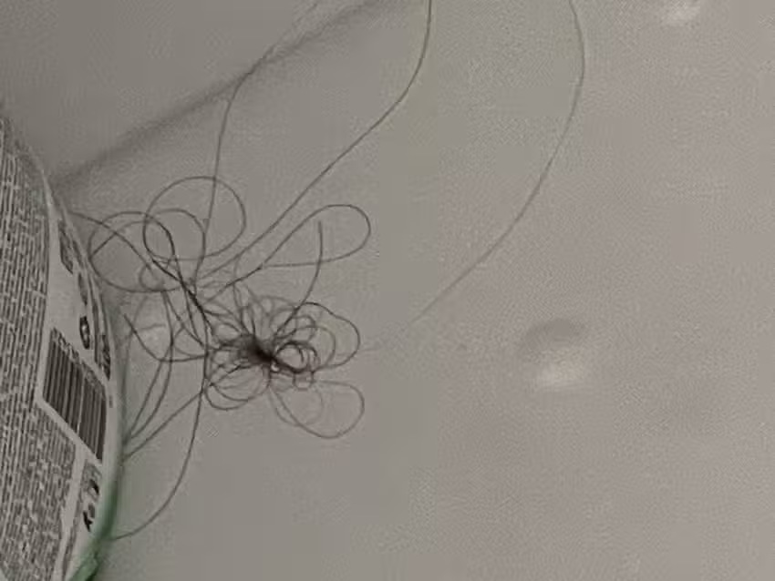 MADE in Transilvania