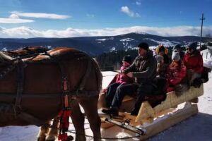 Măguri Bogdăneşti