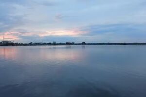 Mancare buna – Storceag extraordinar si gazde minunate