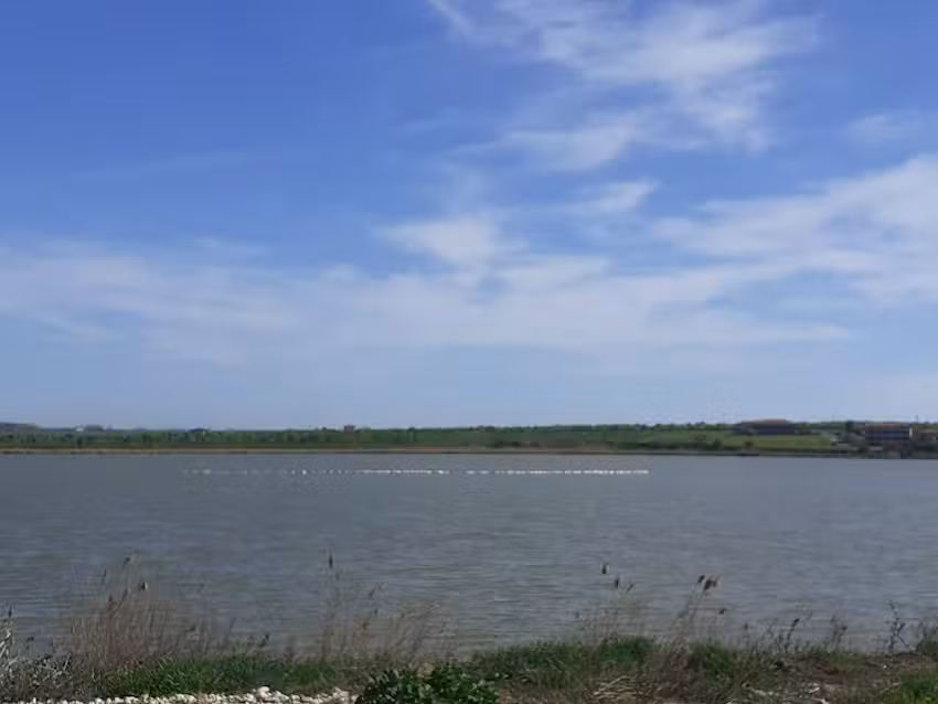 Mar a Lago Glamping23