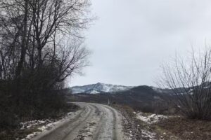 Maria si Grigore Sas