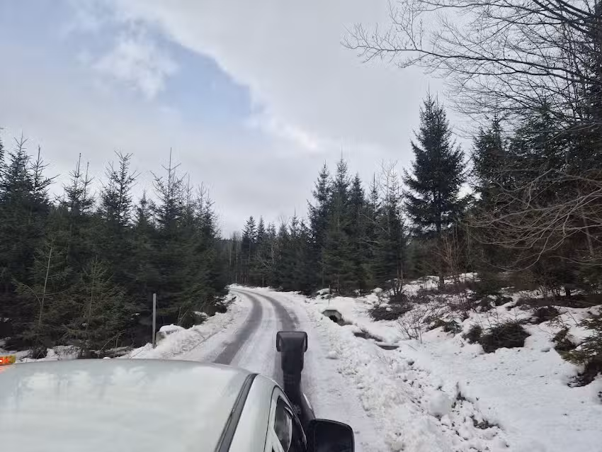 Medve Ösvény – Holiday Guest House