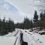 Medve Ösvény – Holiday Guest House