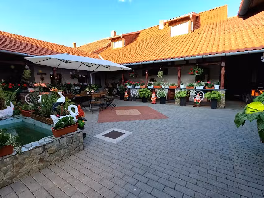 Mehadica House