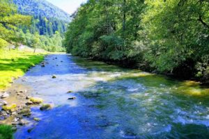 MOARA LA FĂGĂDĂU, Pensiune