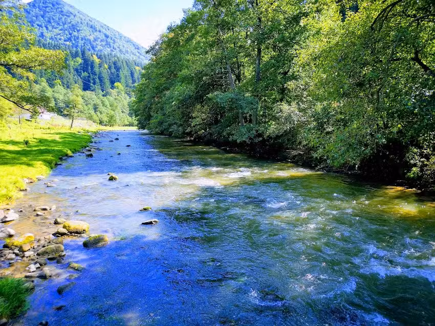 MOARA LA FĂGĂDĂU, Pensiune
