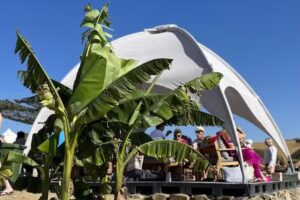 Moby Dick – Camping Park