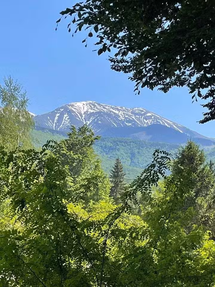 MONTERO – in Avrig Romania