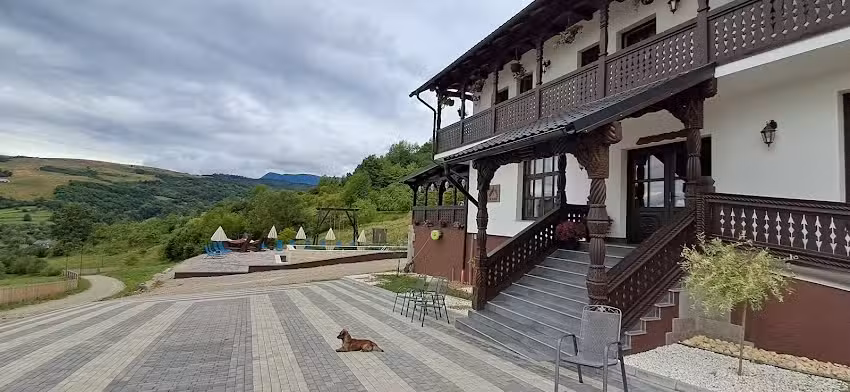 Mosia Dar in Rai
